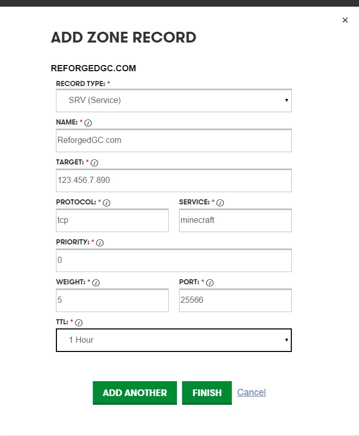 GoDaddy SRV record configuration